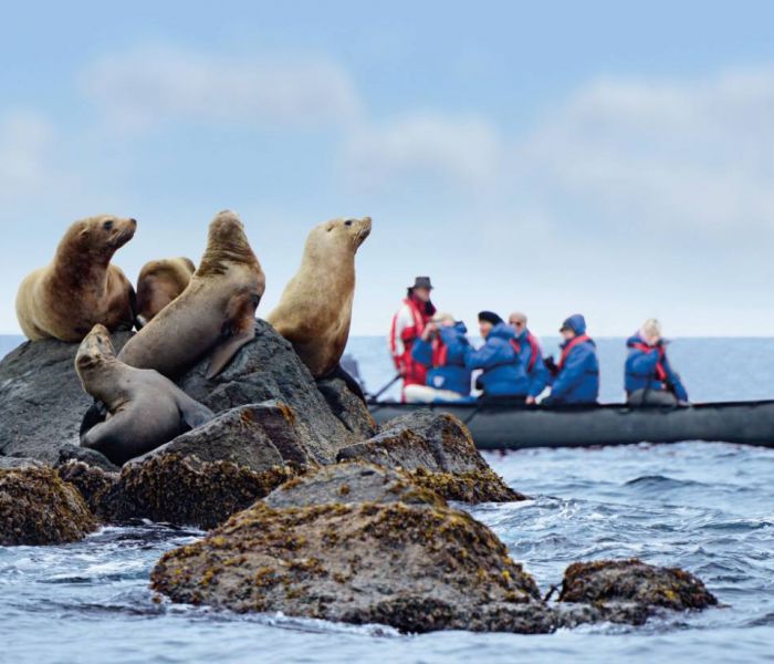 Regelmäßig werden die Zodiacs verwendet, um die Tierwelt in der Antarktis zu erkunden. (Foto: Hapag-Lloyd Cruises)